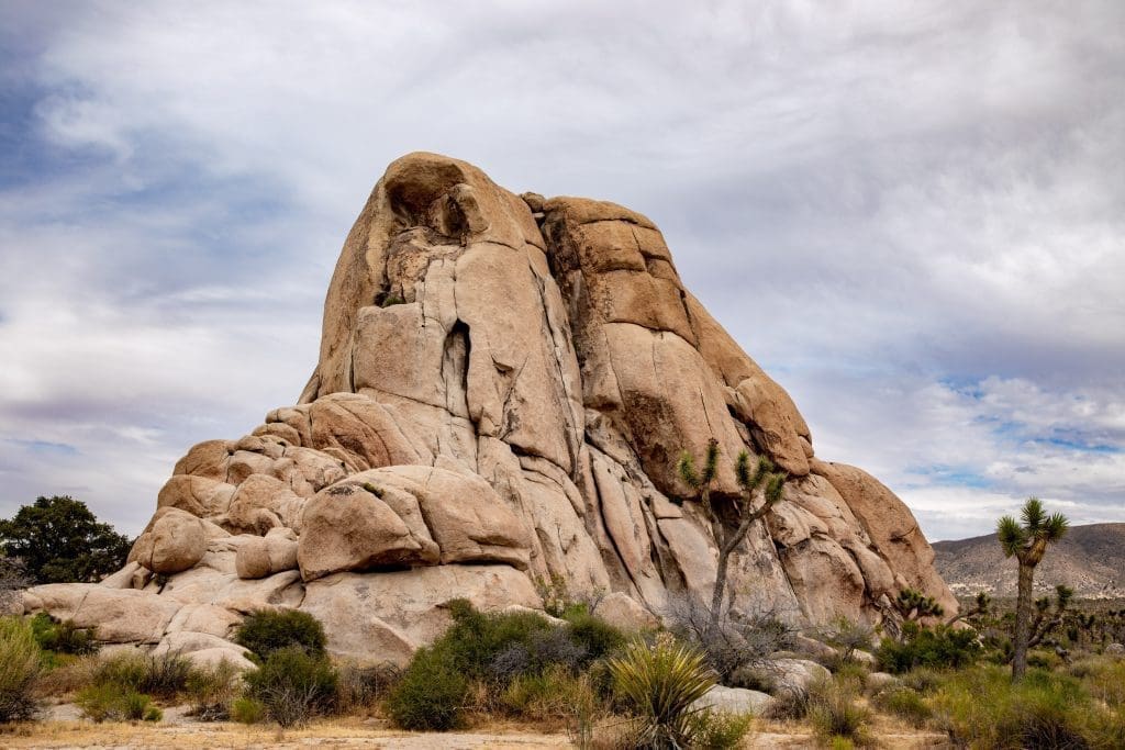 Joshua Tree - Intersection Rock