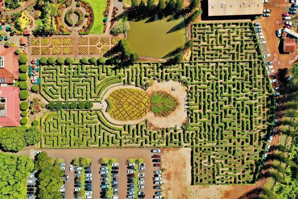 Oahu - Dole Plantations Banner