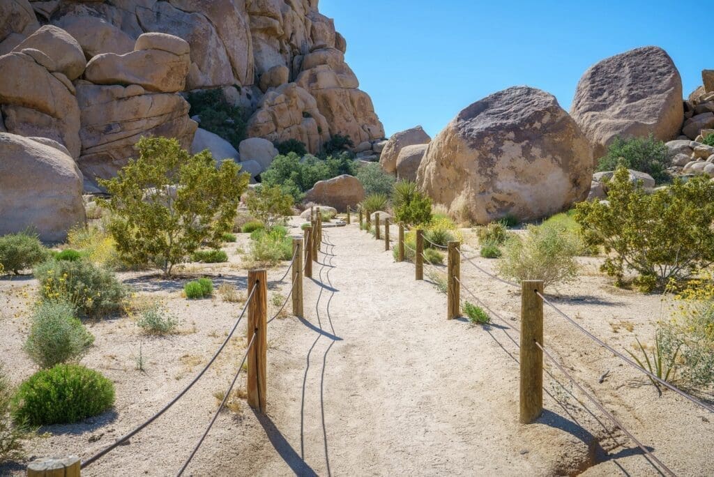  Joshua Tree - Hidden Valley Nature Trail