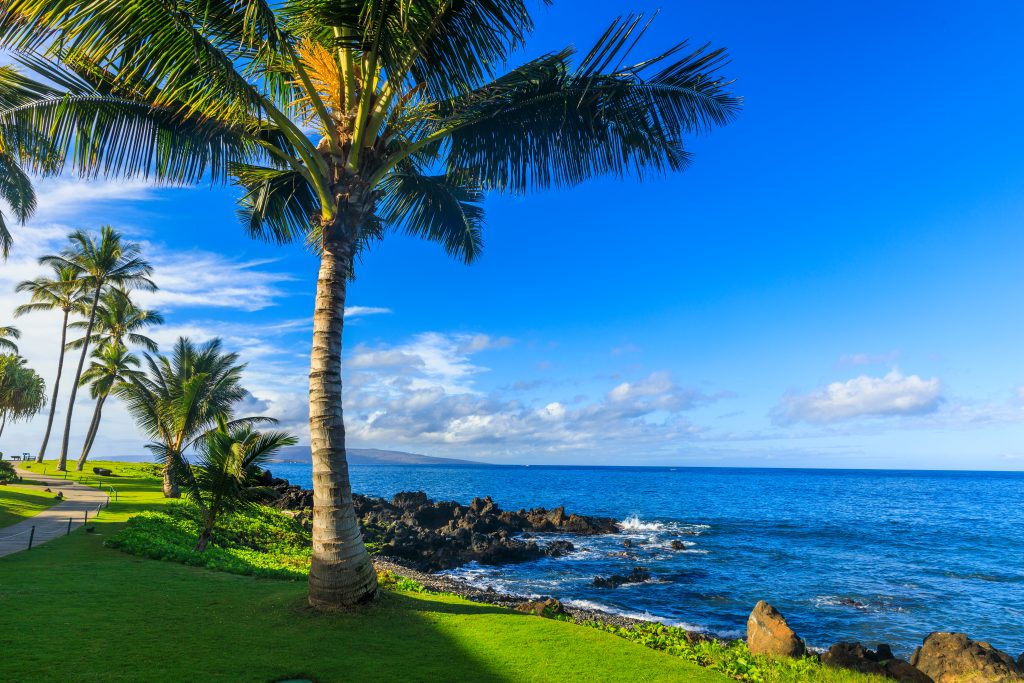 Maui Beach Parks