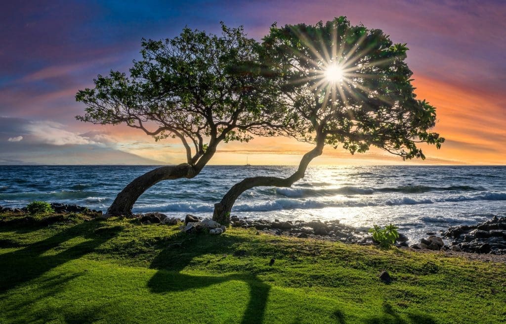 Island of Maui