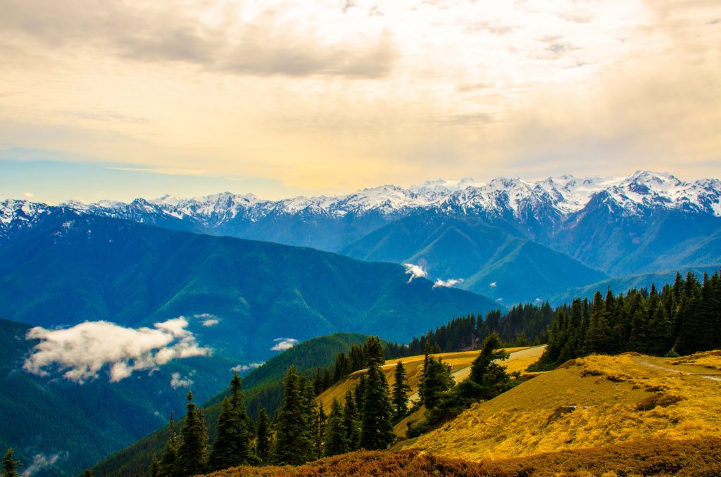 Olympic National Park