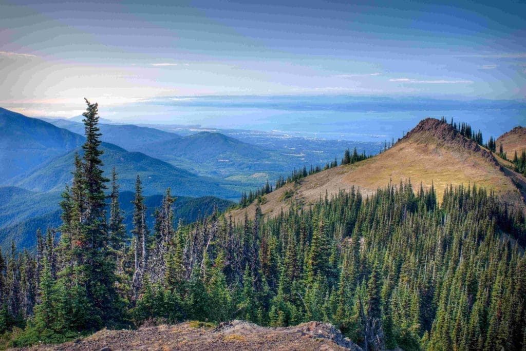Olympic National Park