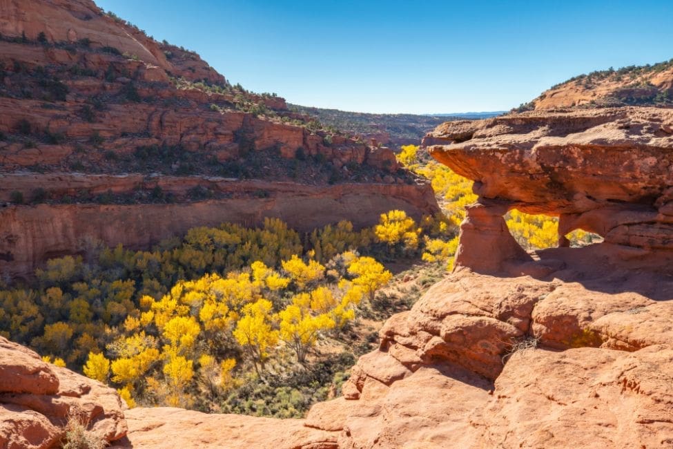 Grand Staircase, Escalante 