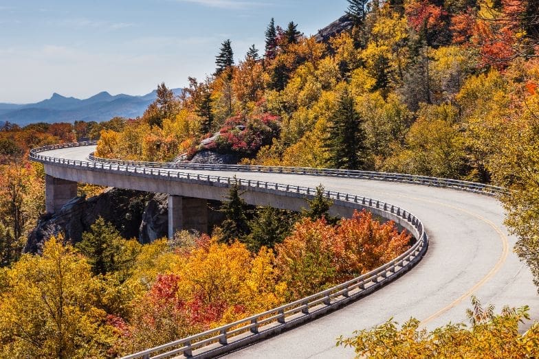 Blue Ridge Parkway during fall. 