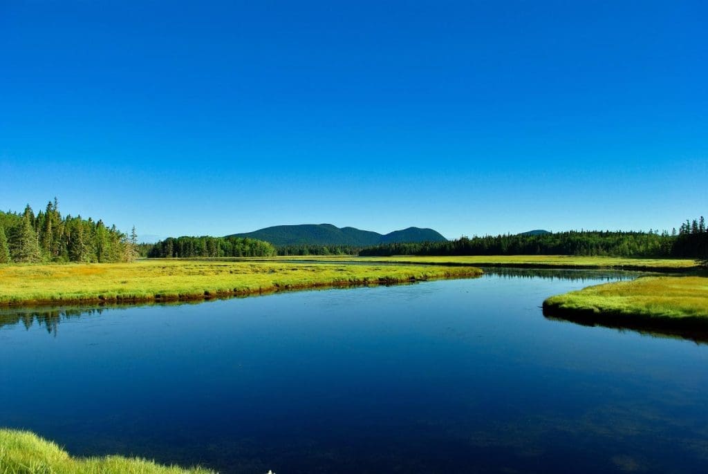 Mt. Desert Island in Acadia National Park
