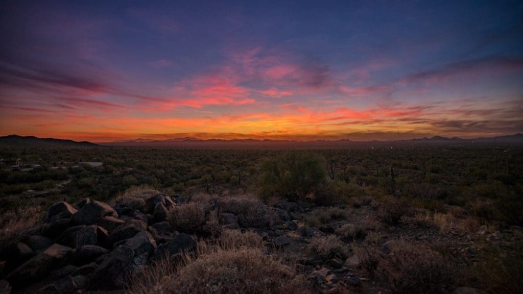 Saguaro National Park