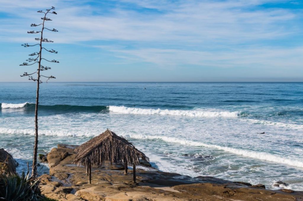 Windansea Beach in La Jolla