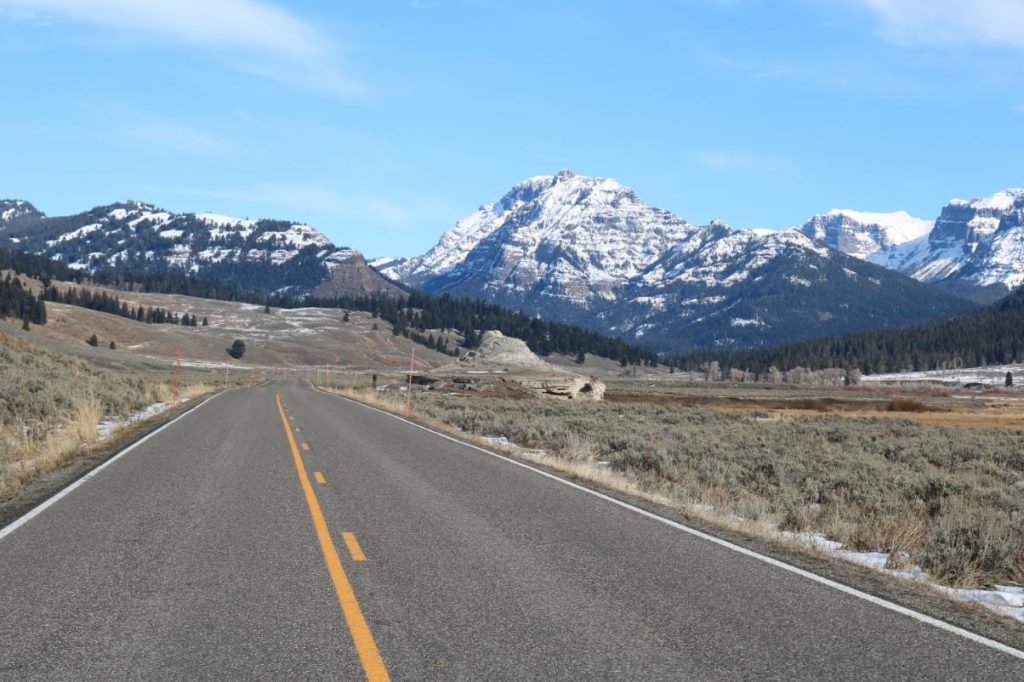 Road Through Yellowstone