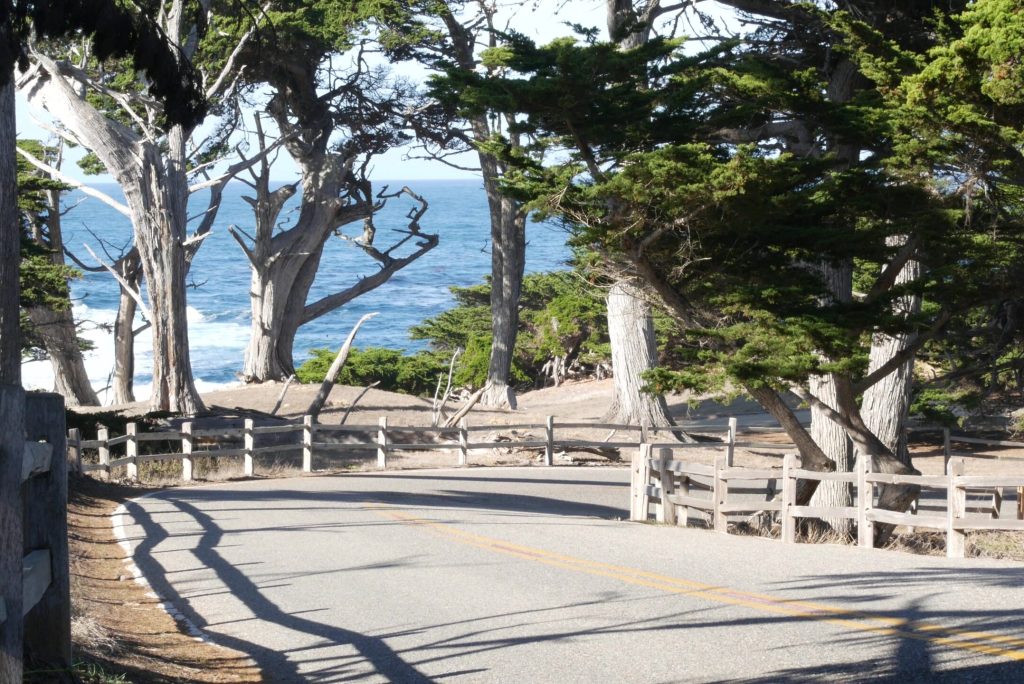 How Much Does it Cost to Drive 17-Mile Drive?