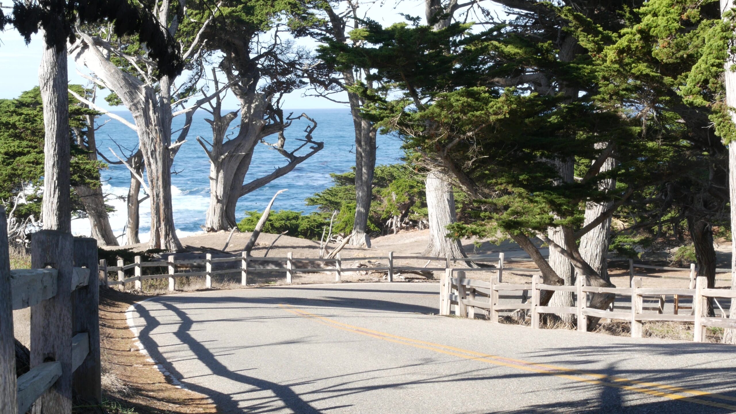 How Much Does it Cost to Drive 17-Mile Drive?