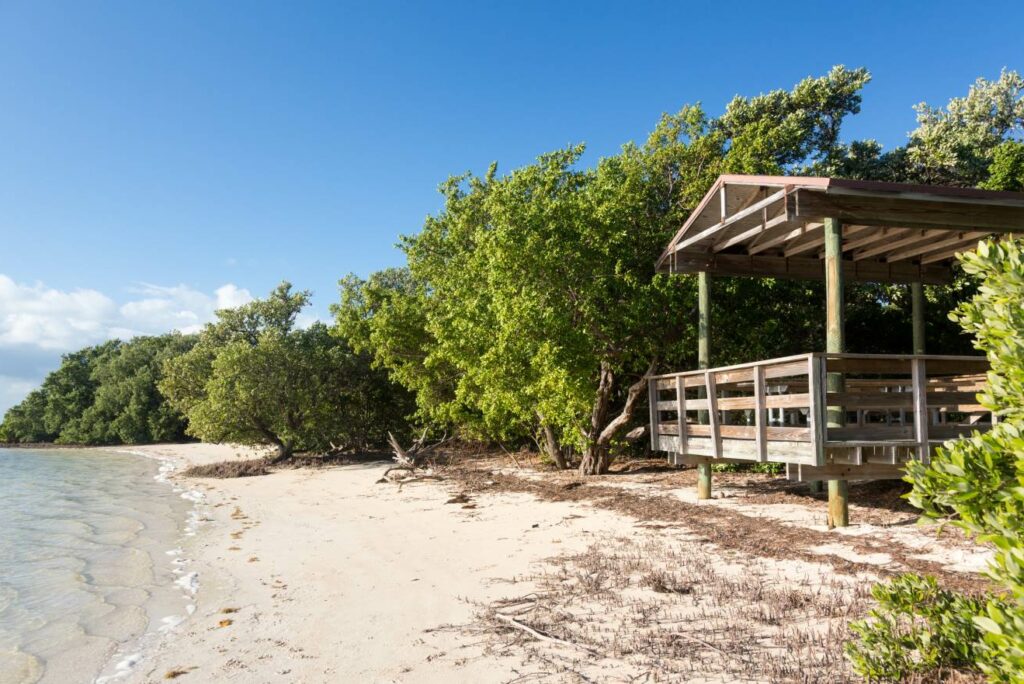 Do You Need a Car in the Florida Keys?