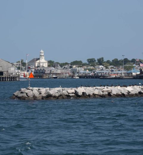 What is Cape Cod known for?