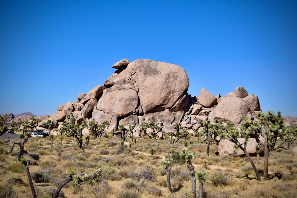 Where is Joshua Tree National Park?