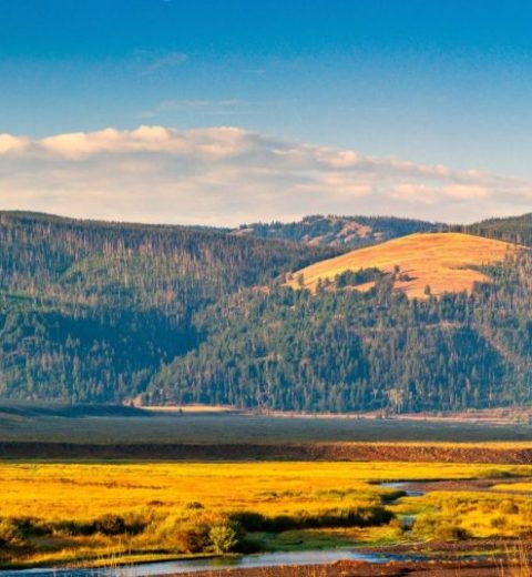 Are there any waterfalls in Yellowstone National Park?