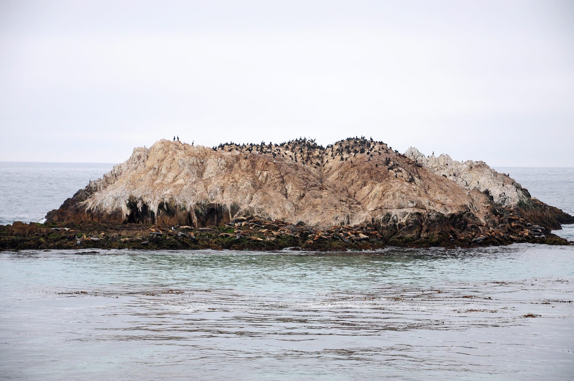 Got a free weekend? Take a 17-Mile Drive Tour!