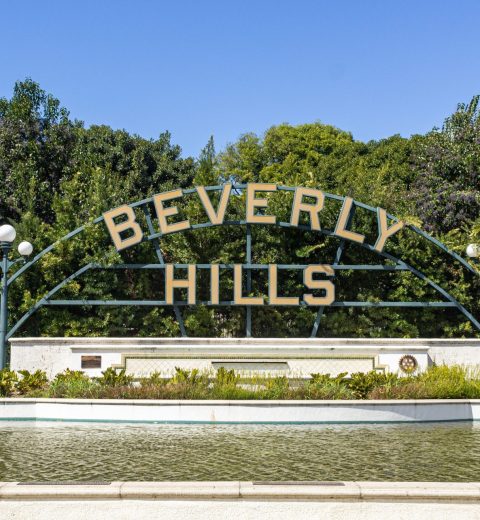 All that you are looking for from our Hollywood Tour