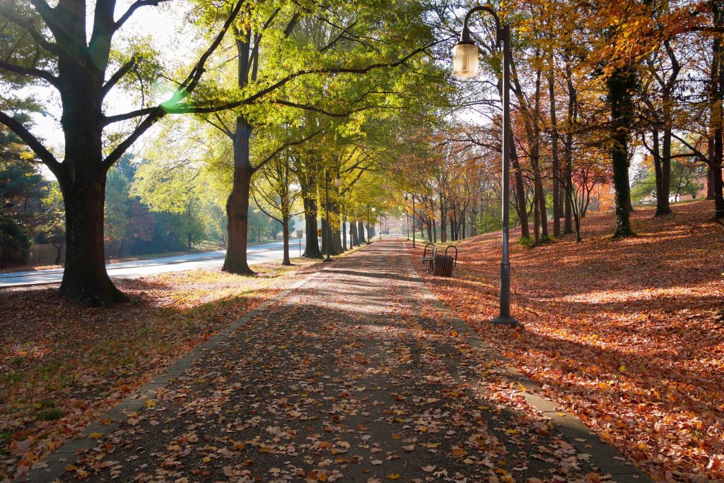 Can you walk around Salem?