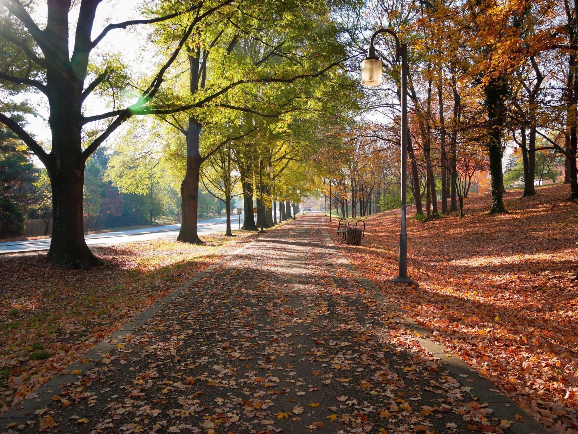 Can you walk around Salem?