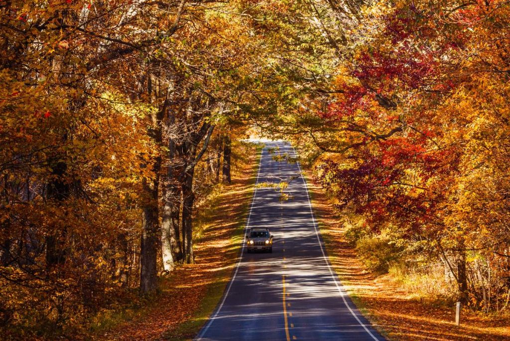 How Much Does It Cost to Get into Shenandoah?