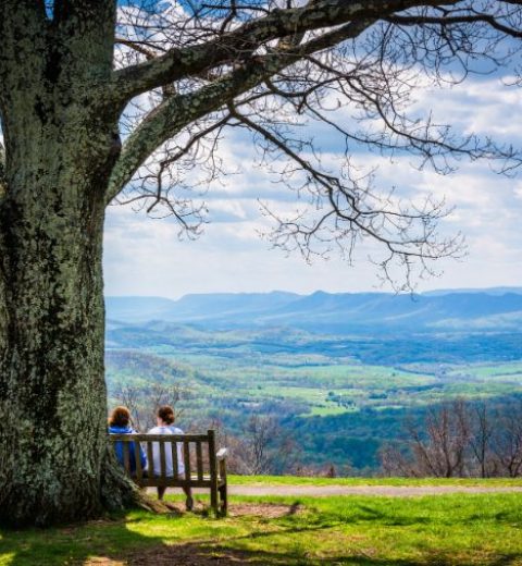Why Do People Visit Shenandoah?