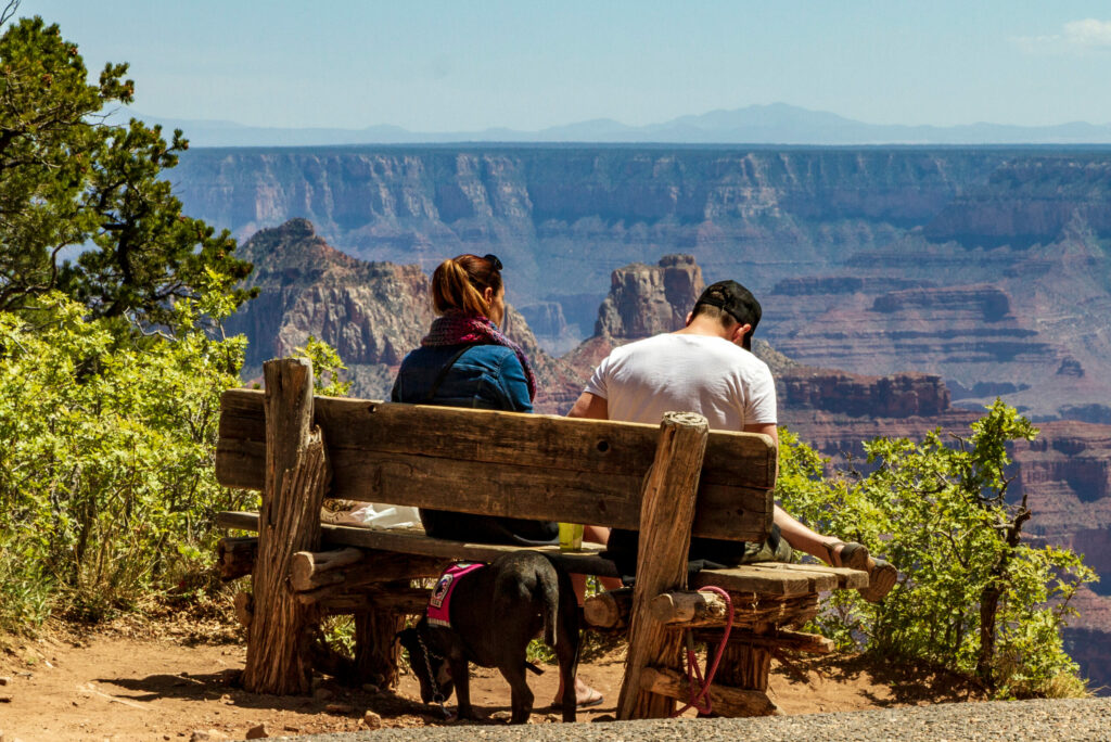 Are dogs allowed at the Grand Canyon?