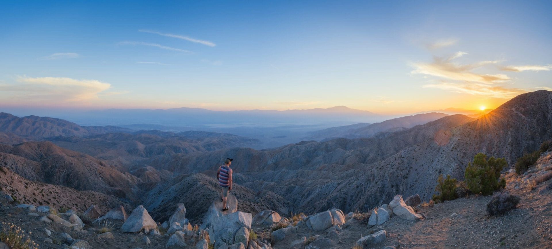 What’s Cool About Joshua Tree?