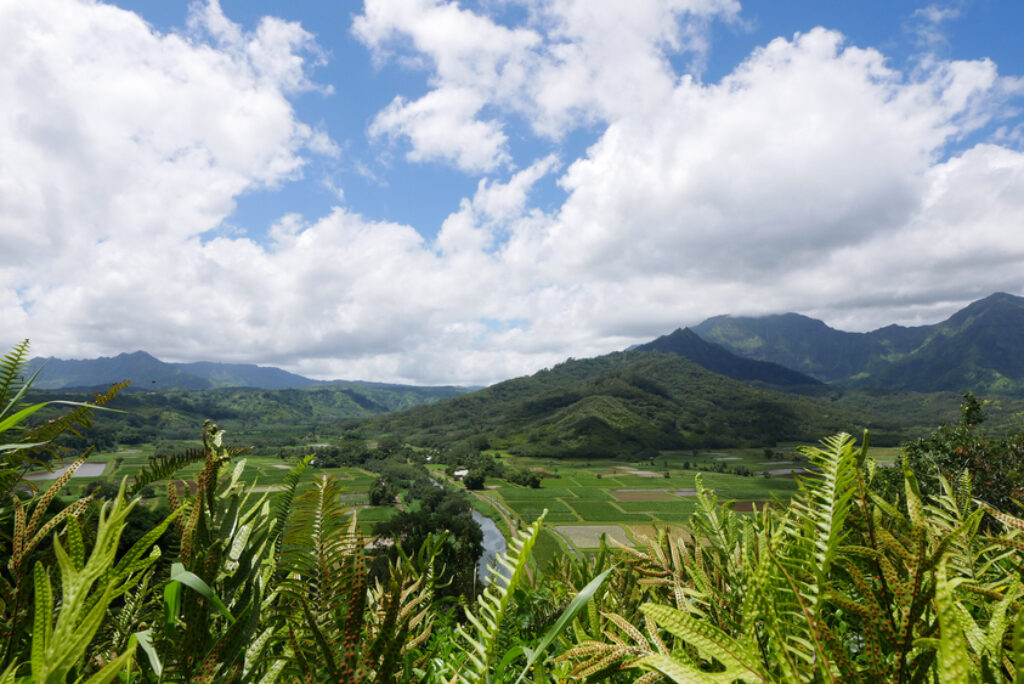 Which is better, Maui or Kauai?