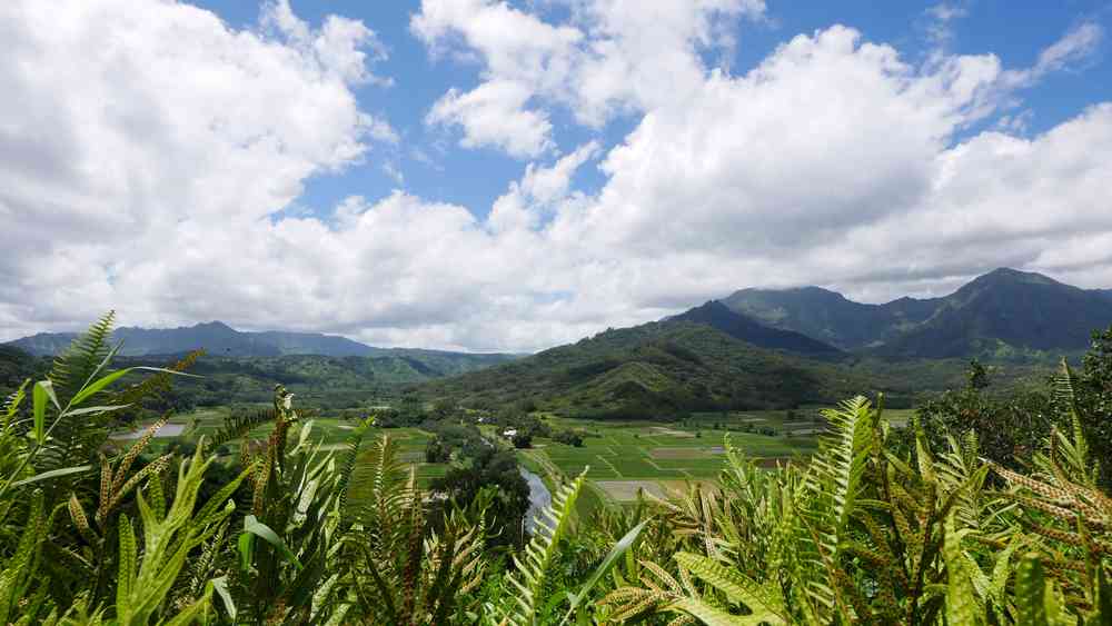 Which is better, Maui or Kauai?