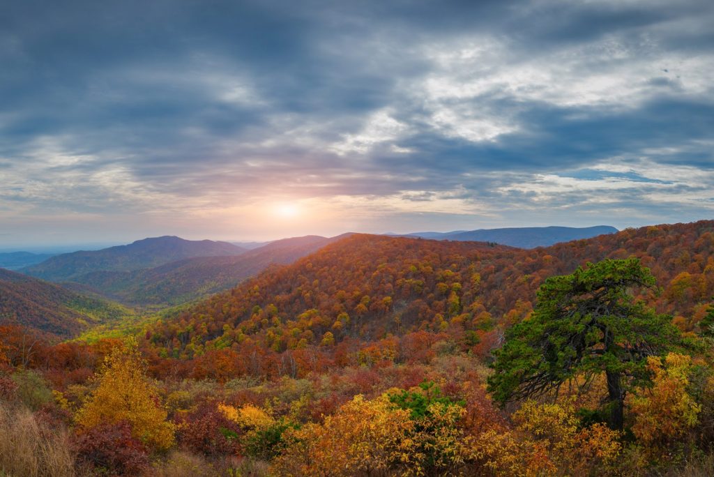 Is Shenandoah National Park worth visiting?