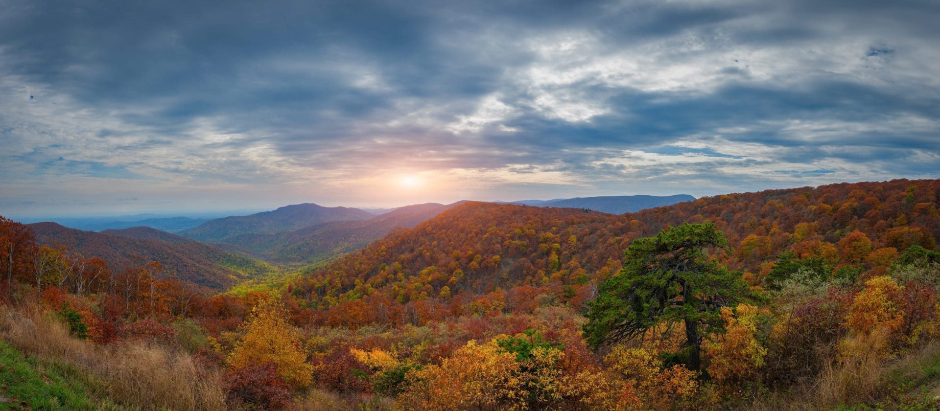 Is Shenandoah National Park worth visiting?