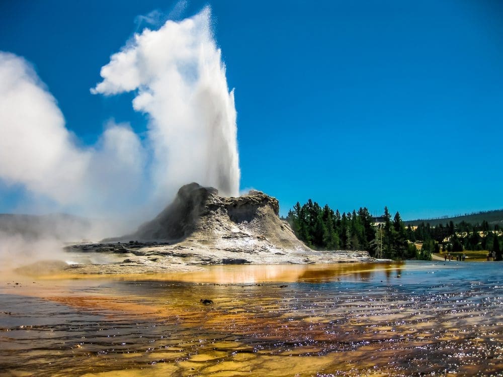 What is the best tour of Yellowstone National Park?