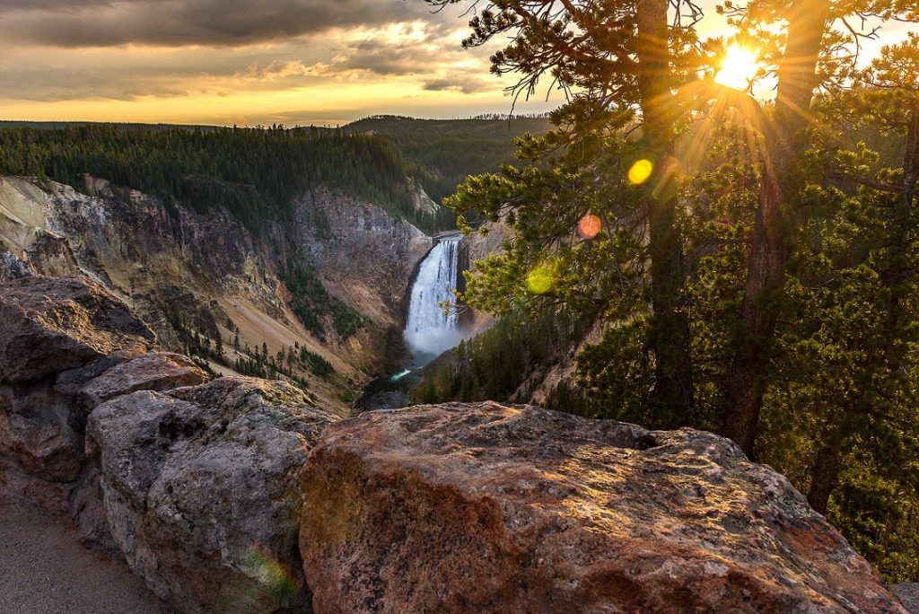 Can you visit Yellowstone without a tour?