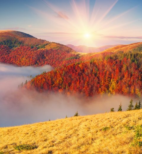 What is there to do in the Great Smoky Mountains?