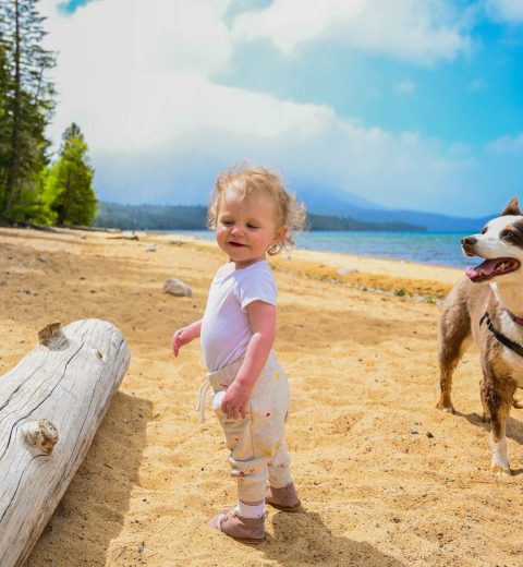 Where is Lake Tahoe?