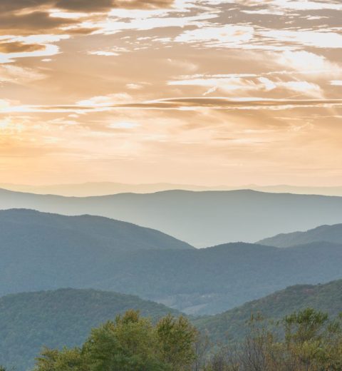 Why Do People Visit Shenandoah?