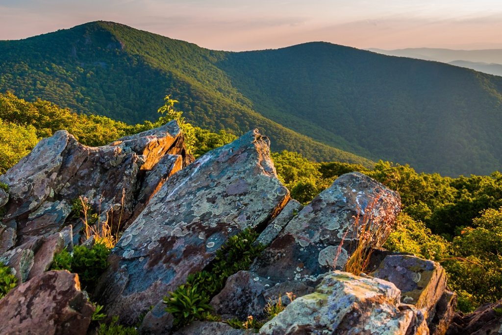What is the Highest Point in Shenandoah National Park?