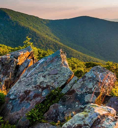 Why Do People Visit Shenandoah?