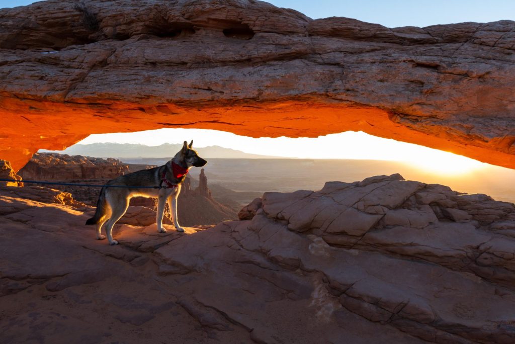 What’s Unique About Canyonlands National Park?