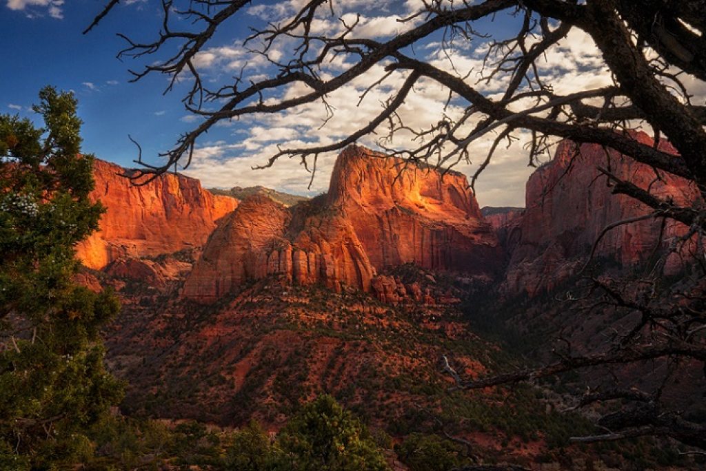 How Do You Avoid Crowds at Zion National Park?