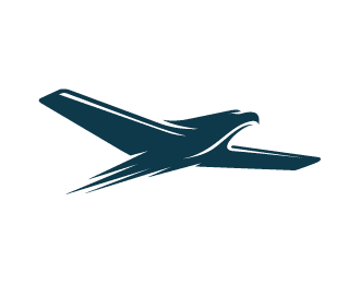 air plane bird-01