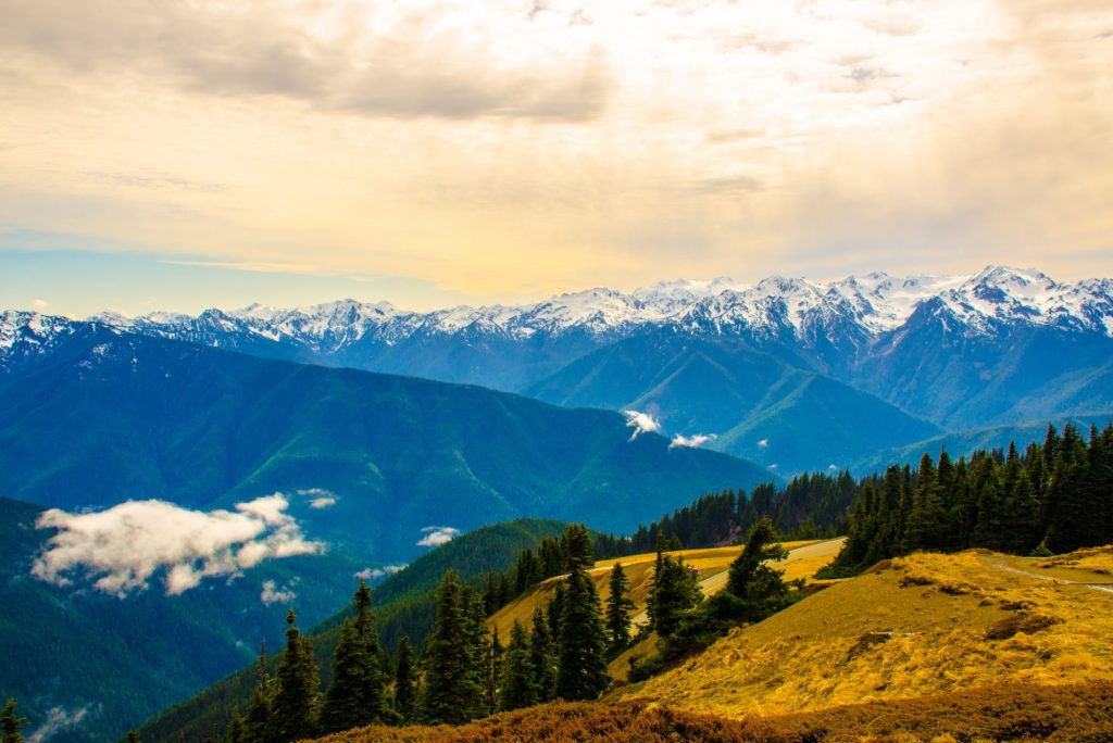 When Should I Visit Olympic National Park?