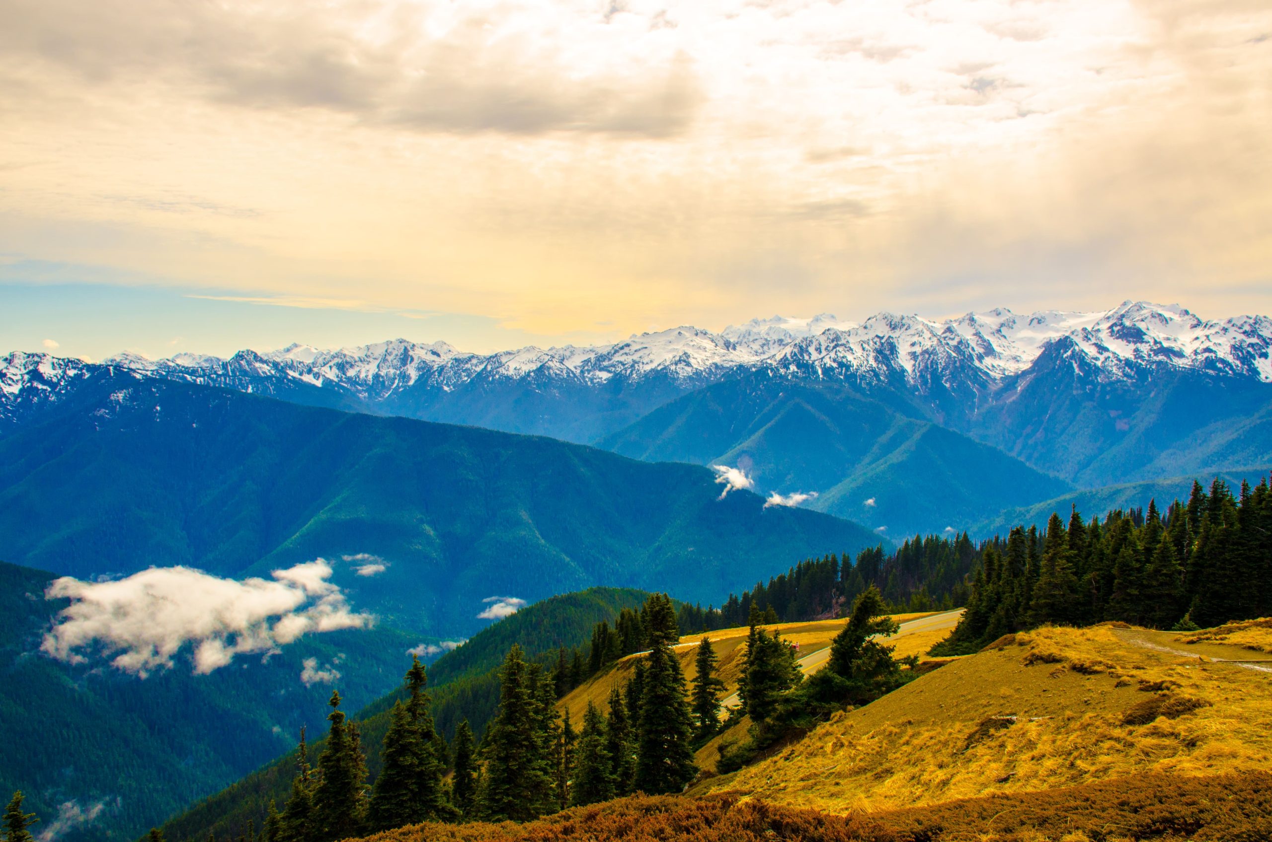 When Should I Visit Olympic National Park?