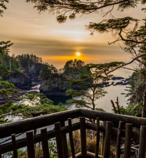 What Do I Not Know About Olympic National Park?