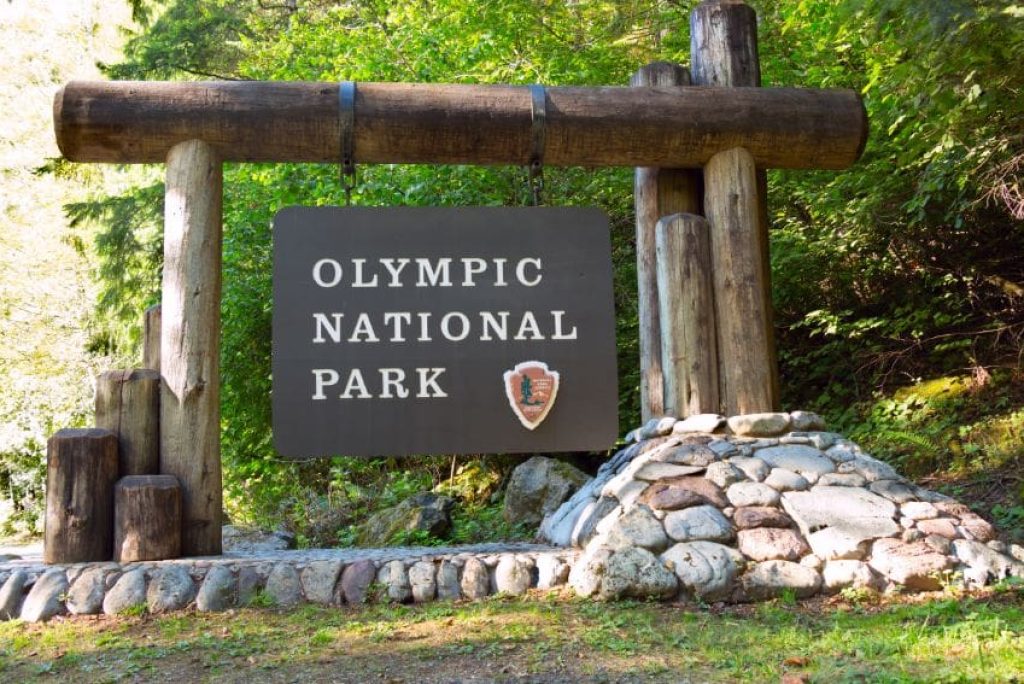 Where Should I Enter Olympic National Park?