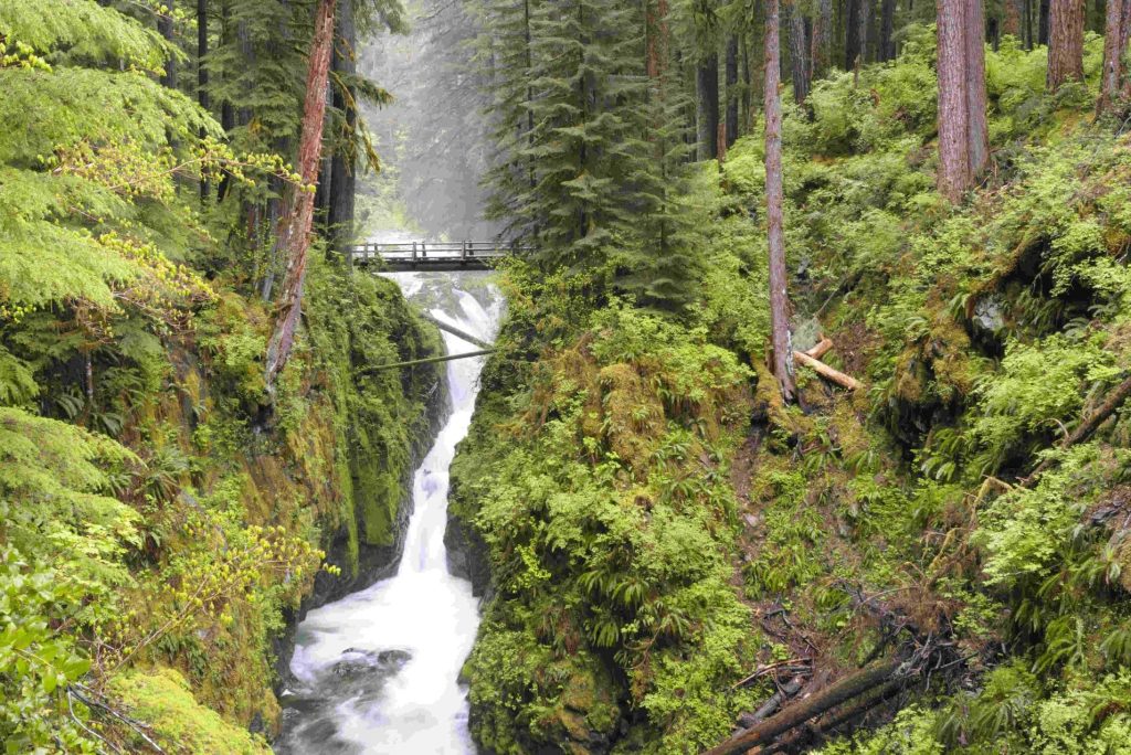 Should I Make a Reservation at Olympic National Park?