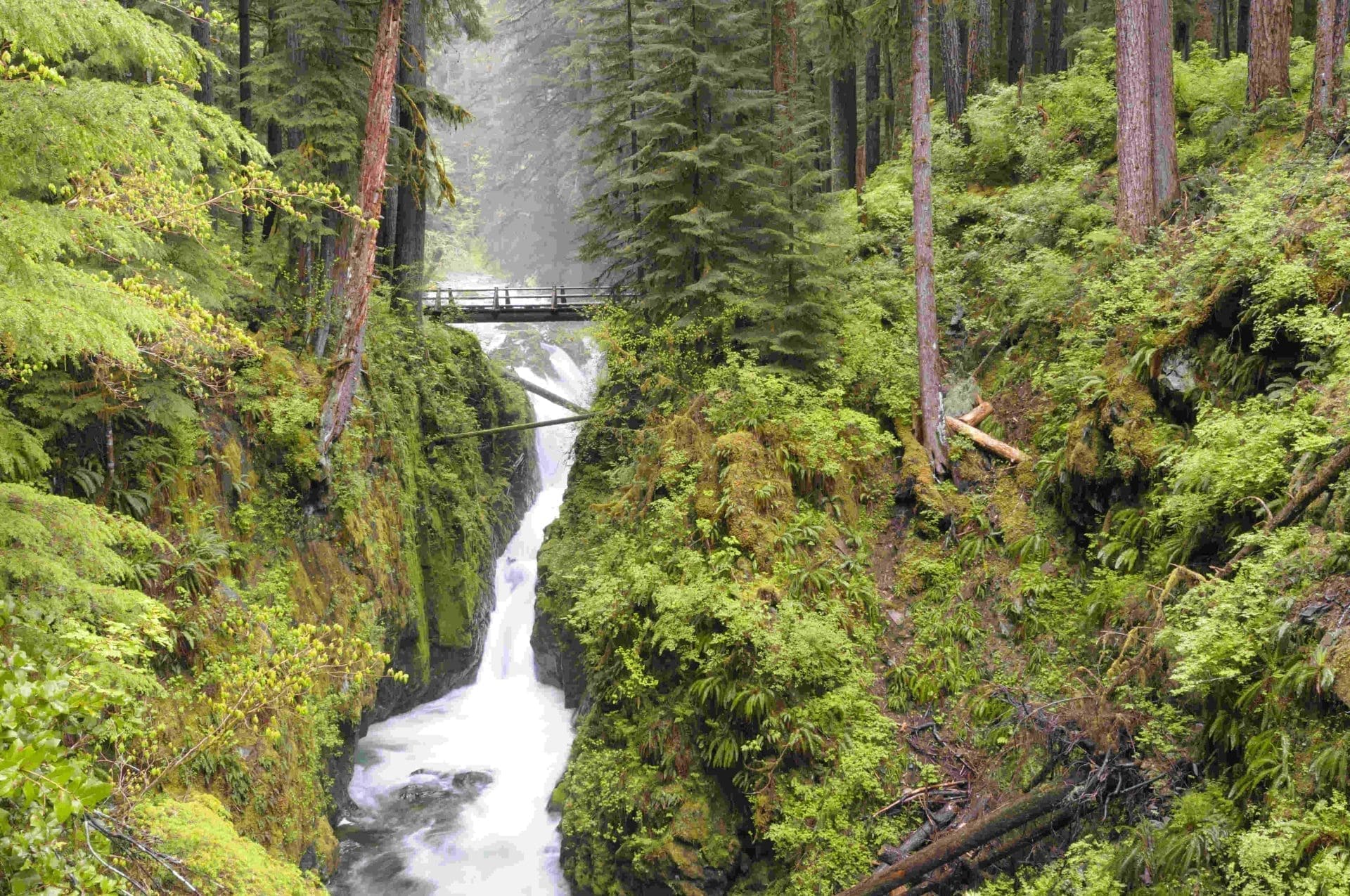 Should I Make a Reservation at Olympic National Park?