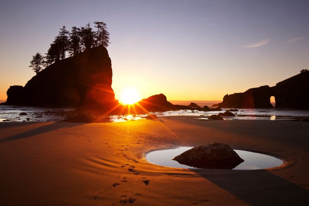 What’s Special About Olympic National Park?