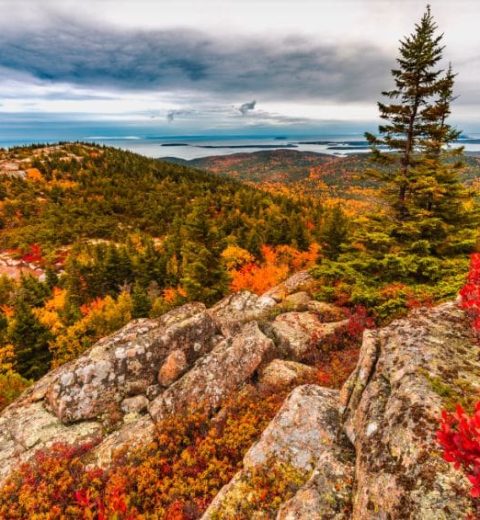 What is Acadia National Park Known For?