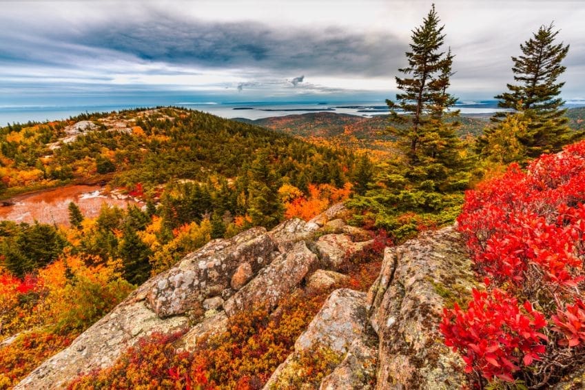 When Does Acadia National Park’s Fall Foliage Reach Its Peak?